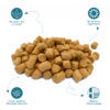 Salmon | 100% Freeze - Dried Meal Treats for Dogs & Cats 12 OZ