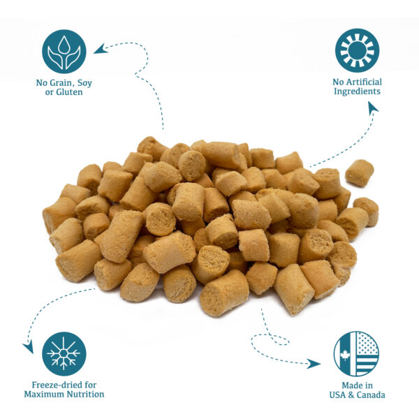 Salmon | 100% Freeze - Dried Meal Treats for Dogs & Cats 12 OZ