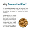 Salmon | 100% Freeze - Dried Meal Treats for Dogs & Cats 12 OZ