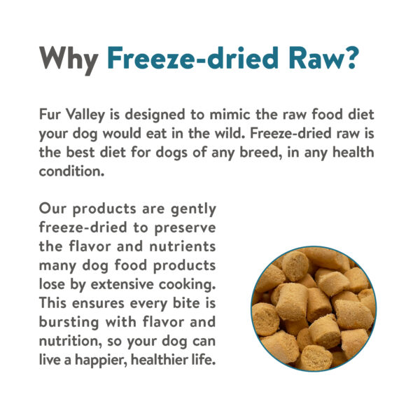 Salmon | 100% Freeze - Dried Meal Treats for Dogs & Cats 12 OZ