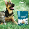 Salmon | 100% Freeze - Dried Meal Treats for Dogs & Cats 12 OZ