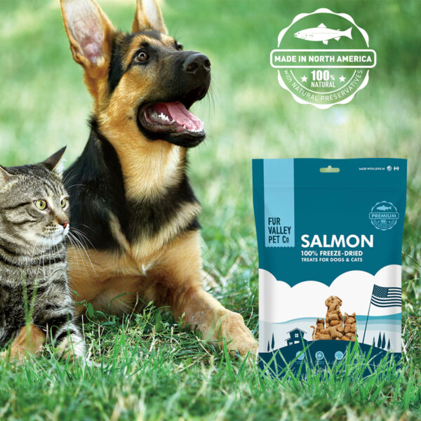 Salmon | 100% Freeze - Dried Meal Treats for Dogs & Cats 12 OZ